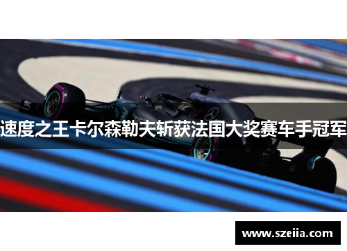 速度之王卡尔森勒夫斩获法国大奖赛车手冠军